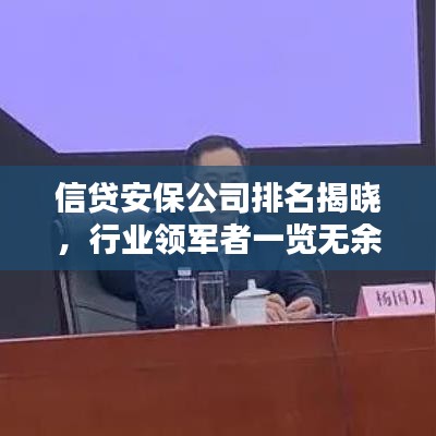 信貸安保公司排名揭曉，行業(yè)領(lǐng)軍者一覽無(wú)余！