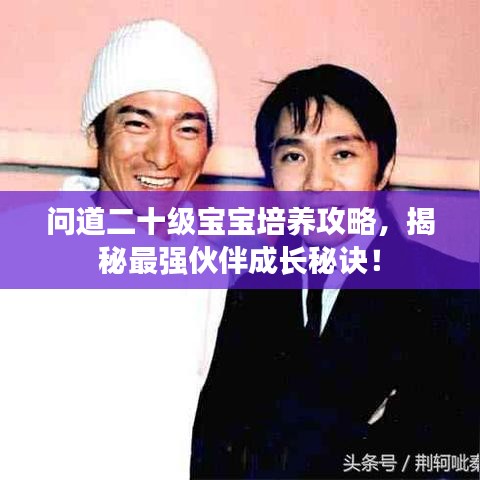 問道二十級(jí)寶寶培養(yǎng)攻略，揭秘最強(qiáng)伙伴成長(zhǎng)秘訣！
