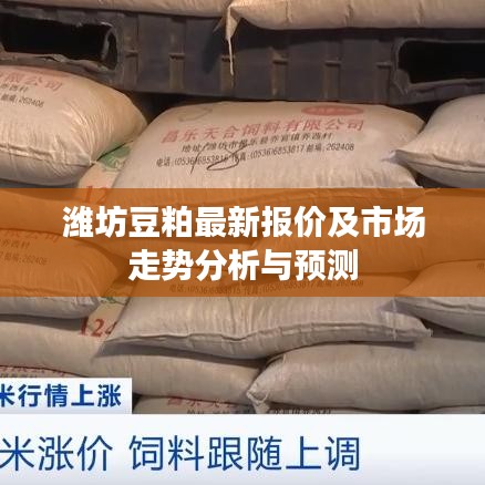 濰坊豆粕最新報價及市場走勢分析與預測