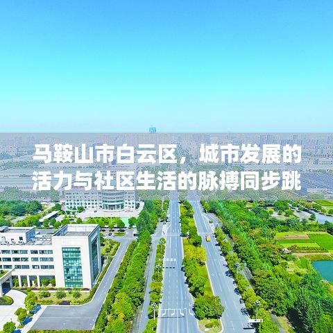 母以子貴 第6頁