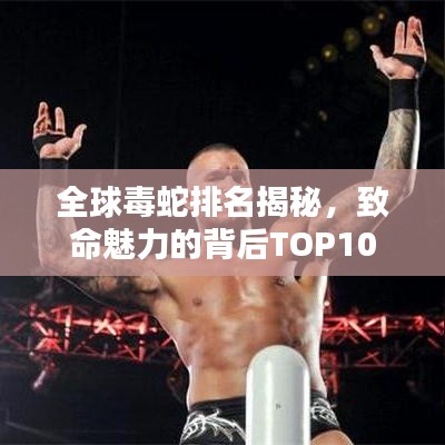 全球毒蛇排名揭秘，致命魅力的背后TOP10