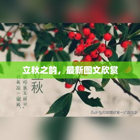 飛蛾撲火 第6頁