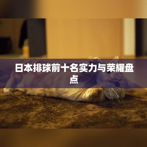 日本排球前十名實(shí)力與榮耀盤點(diǎn)
