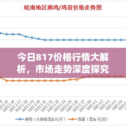 今日817價格行情大解析，市場走勢深度探究與影響因素全揭秘
