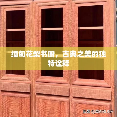 緬甸花梨書廚，古典之美的獨(dú)特詮釋