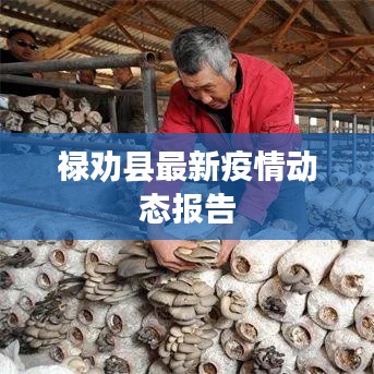 祿勸縣最新疫情動(dòng)態(tài)報(bào)告