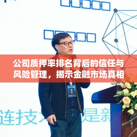 公司質押率排名背后的信任與風險管理，揭示金融市場真相！