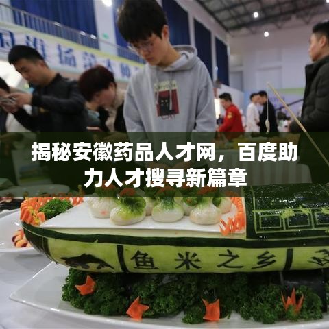 揭秘安徽藥品人才網(wǎng)，百度助力人才搜尋新篇章