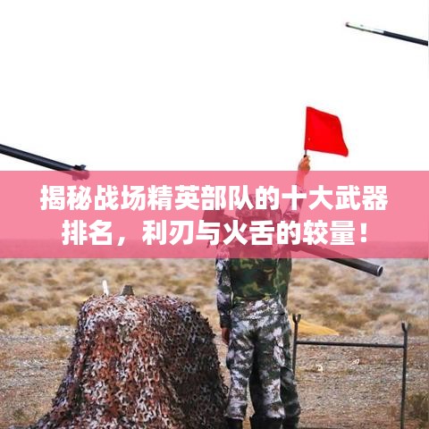 揭秘戰(zhàn)場精英部隊(duì)的十大武器排名，利刃與火舌的較量！