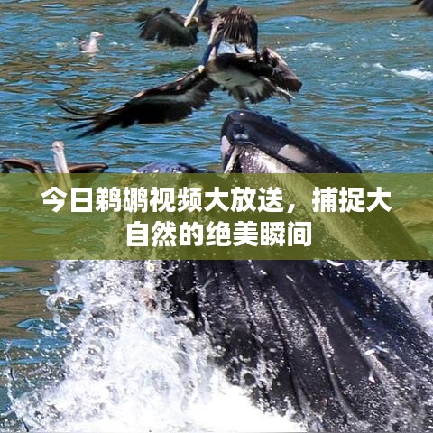 畫地為牢 第7頁