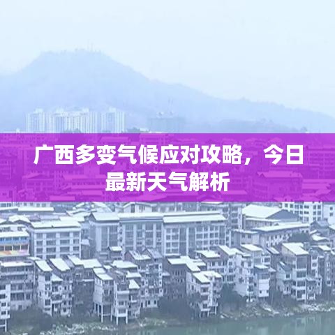 生張熟魏 第6頁