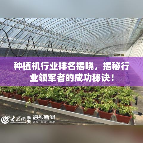 種植機行業(yè)排名揭曉，揭秘行業(yè)領(lǐng)軍者的成功秘訣！