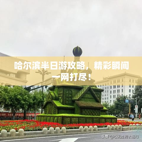 哈爾濱半日游攻略，精彩瞬間一網(wǎng)打盡！