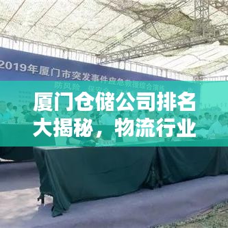 廈門(mén)倉(cāng)儲(chǔ)公司排名大揭秘，物流行業(yè)佼佼者榜單出爐！