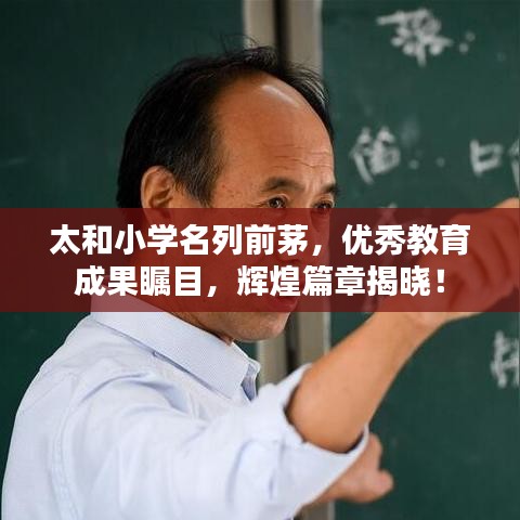 太和小學(xué)名列前茅，優(yōu)秀教育成果矚目，輝煌篇章揭曉！