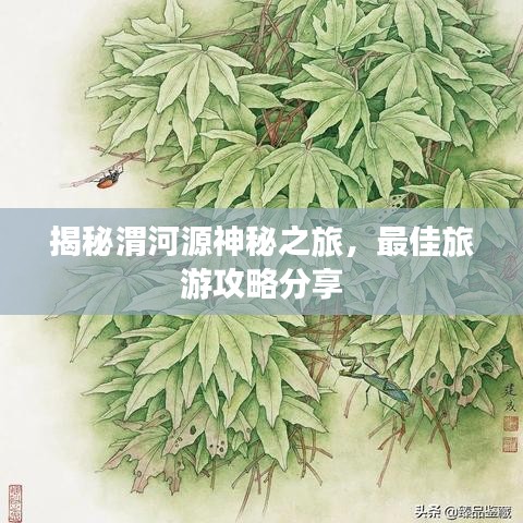 揭秘渭河源神秘之旅，最佳旅游攻略分享