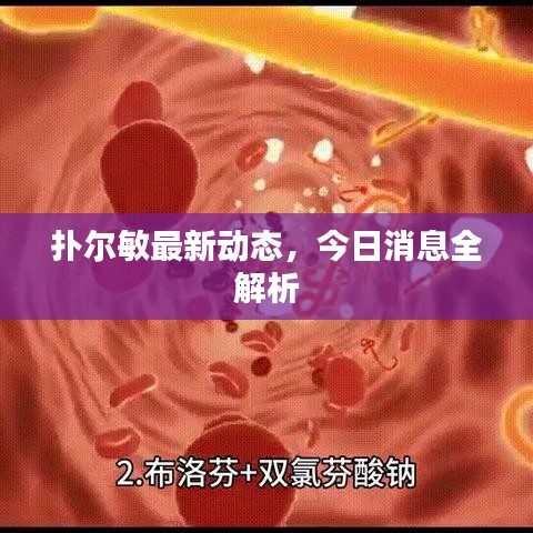 撲爾敏最新動(dòng)態(tài)，今日消息全解析