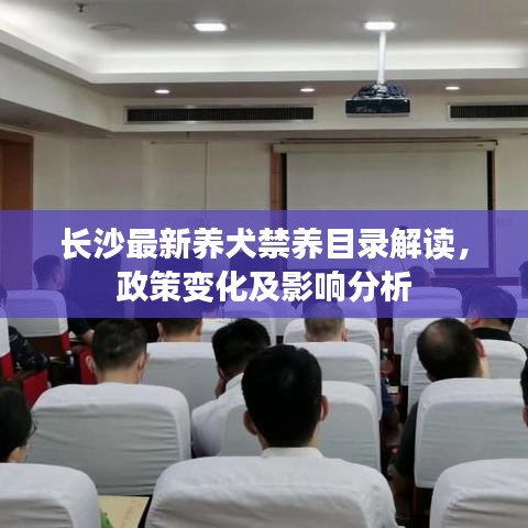 長(zhǎng)沙最新養(yǎng)犬禁養(yǎng)目錄解讀，政策變化及影響分析