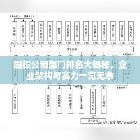 國(guó)投公司部門排名大揭秘，企業(yè)架構(gòu)與實(shí)力一覽無余