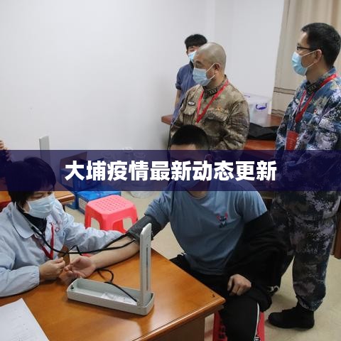 大埔疫情最新動態(tài)更新