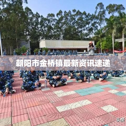 朝陽市金橋鎮(zhèn)最新資訊速遞
