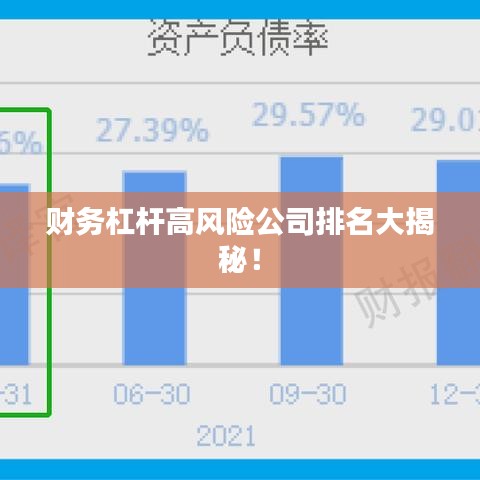 財(cái)務(wù)杠桿高風(fēng)險(xiǎn)公司排名大揭秘！