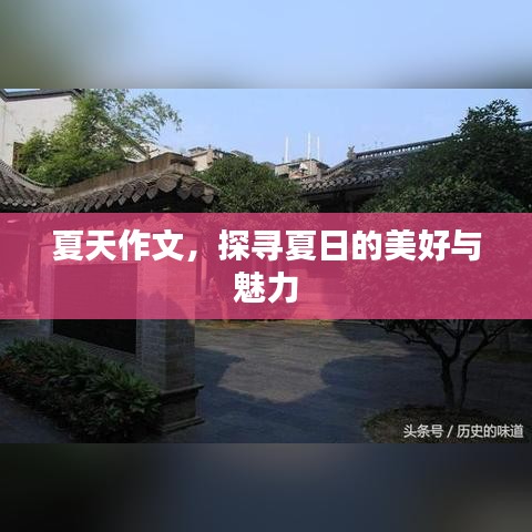 夏天作文，探尋夏日的美好與魅力