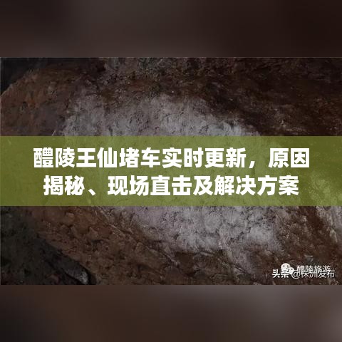 醴陵王仙堵車實(shí)時(shí)更新，原因揭秘、現(xiàn)場直擊及解決方案