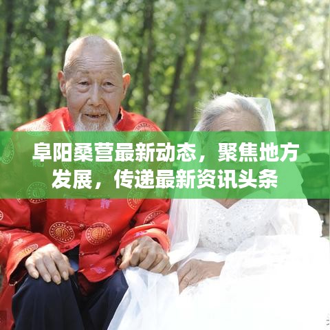 阜陽(yáng)桑營(yíng)最新動(dòng)態(tài)，聚焦地方發(fā)展，傳遞最新資訊頭條
