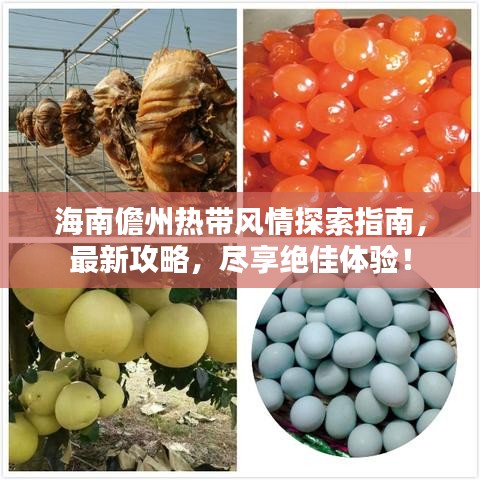 海南儋州熱帶風(fēng)情探索指南，最新攻略，盡享絕佳體驗(yàn)！