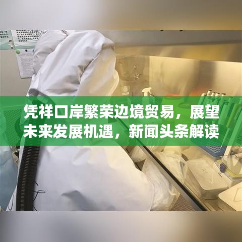 憑祥口岸繁榮邊境貿(mào)易，展望未來發(fā)展機(jī)遇，新聞?lì)^條解讀