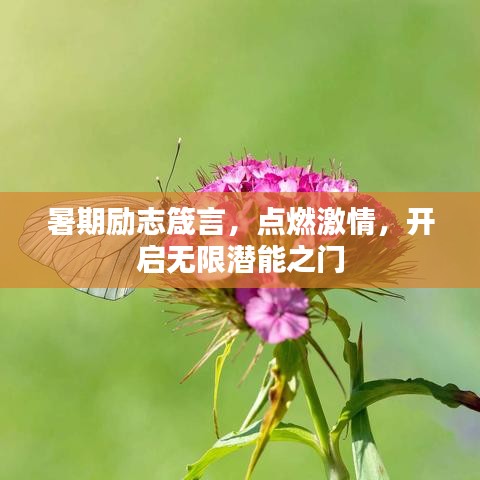 暑期勵志箴言，點燃激情，開啟無限潛能之門