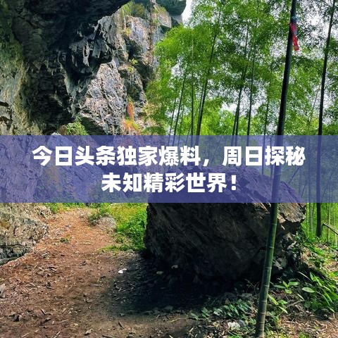 火傘高張 第6頁