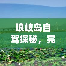 瑯岐島自駕探秘，完美旅程攻略，帶你揭開神秘之島的面紗！