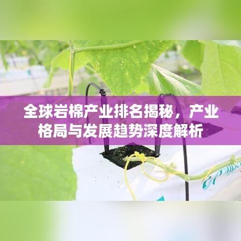 全球巖棉產(chǎn)業(yè)排名揭秘，產(chǎn)業(yè)格局與發(fā)展趨勢(shì)深度解析