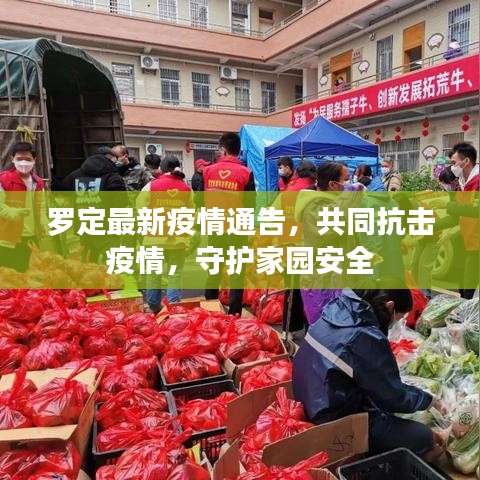 綱舉目張 第6頁