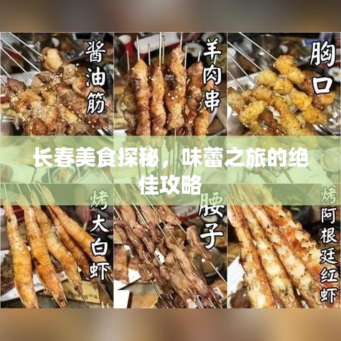 長(zhǎng)春美食探秘，味蕾之旅的絕佳攻略