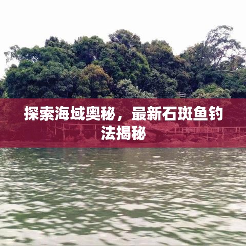探索海域奧秘，最新石斑魚釣法揭秘