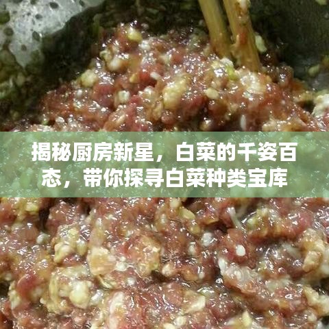 揭秘廚房新星，白菜的千姿百態(tài)，帶你探尋白菜種類寶庫