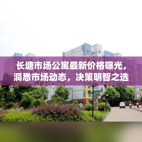 長塘市場公寓最新價格曝光，洞悉市場動態(tài)，決策明智之選