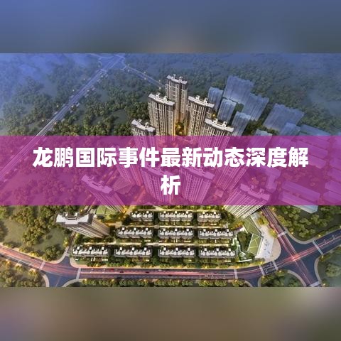 龍鵬國際事件最新動態(tài)深度解析