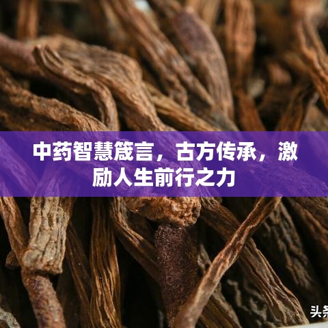 中藥智慧箴言，古方傳承，激勵(lì)人生前行之力