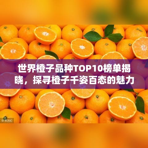 聲如洪鐘 第6頁