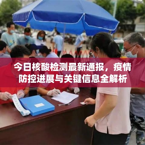 今日核酸檢測最新通報(bào)，疫情防控進(jìn)展與關(guān)鍵信息全解析