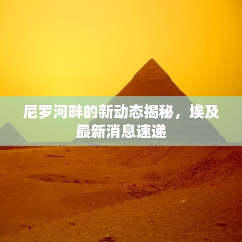 尼羅河畔的新動態(tài)揭秘，埃及最新消息速遞