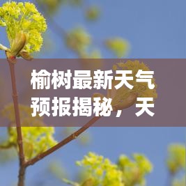 晉惠聞蛙 第6頁