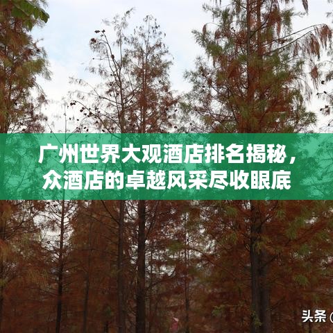 廣州世界大觀(guān)酒店排名揭秘，眾酒店的卓越風(fēng)采盡收眼底