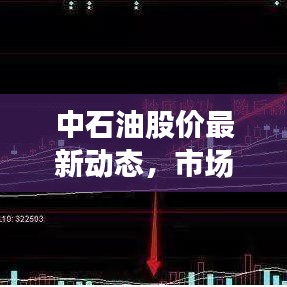 中石油股價最新動態(tài)，市場走勢引關注，投資者必看資訊！
