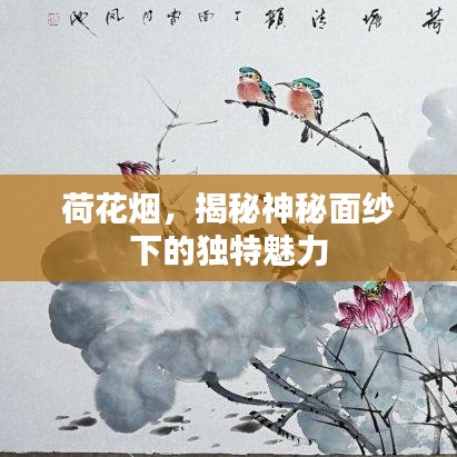荷花煙，揭秘神秘面紗下的獨(dú)特魅力