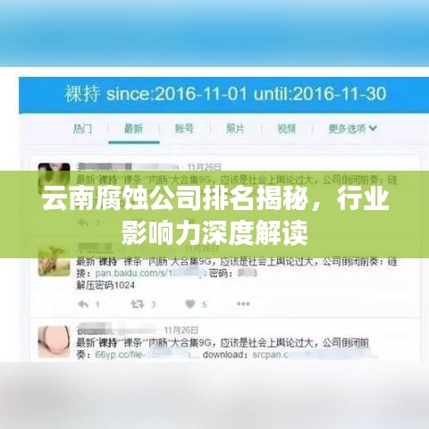 云南腐蝕公司排名揭秘，行業(yè)影響力深度解讀